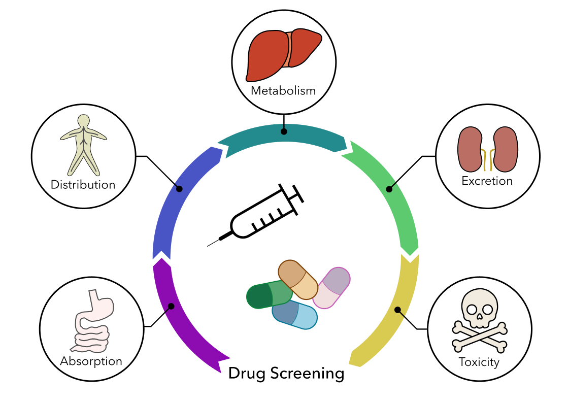 Molecular Property Prediction with Axon